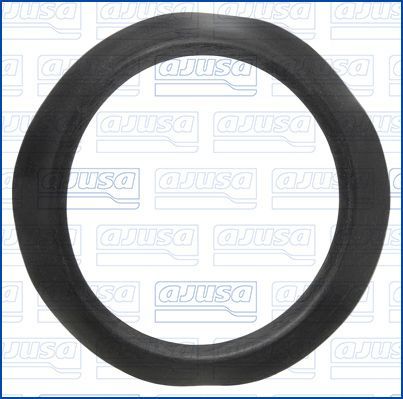 Tarpiklis, oro filtro korpuso įsiurbimo žarna AJUSA 01661900