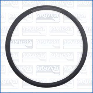 Tarpiklis, oro filtro korpuso įsiurbimo žarna AJUSA 01750900