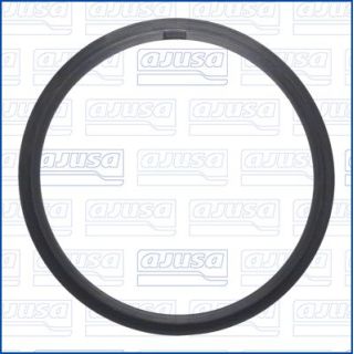 Tarpiklis, oro filtro korpuso įsiurbimo žarna AJUSA 01751900