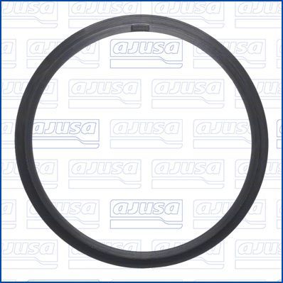 Tarpiklis, oro filtro korpuso įsiurbimo žarna AJUSA 01751900