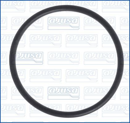 Tarpiklis, oro filtro korpuso įsiurbimo žarna AJUSA 16052600