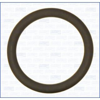 Tarpiklis, oro filtro korpuso įsiurbimo žarna AJUSA 16104600