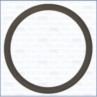 Tarpiklis, oro filtro korpuso įsiurbimo žarna AJUSA 16105800