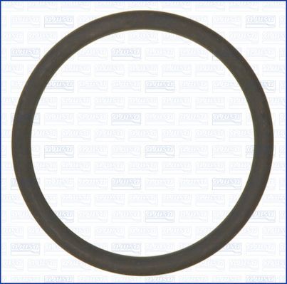 Tarpiklis, oro filtro korpuso įsiurbimo žarna AJUSA 16105800