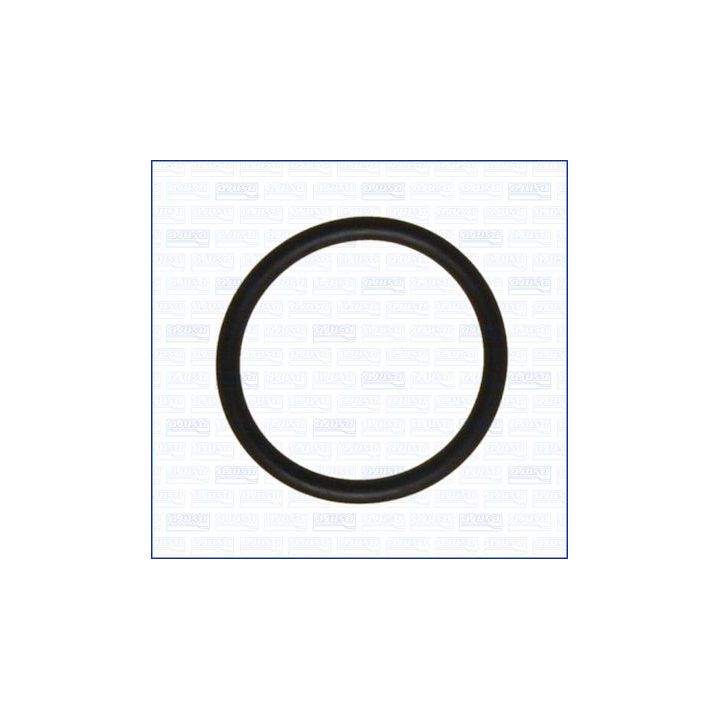 Tarpiklis, vandens siurblys AJUSA 16060300