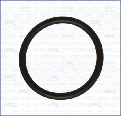 Tarpiklis, vandens siurblys AJUSA 16060300