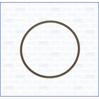 Tarpiklis, droselio korpusas AJUSA 16031500