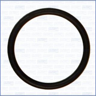 Tarpiklis, droselio korpusas AJUSA 16080400