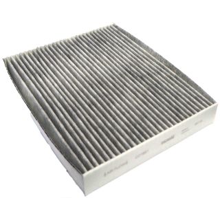 Filtras, salono oras CORTECO 49142275