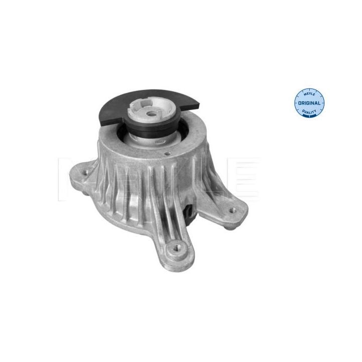 Variklio montavimas MEYLE 014 024 2201