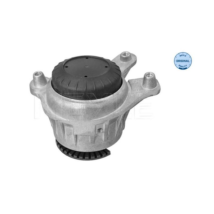 Variklio montavimas MEYLE 014 024 2201