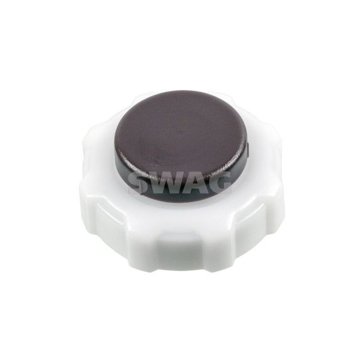 Dangtelis, radiatorius SWAG 33 10 9947