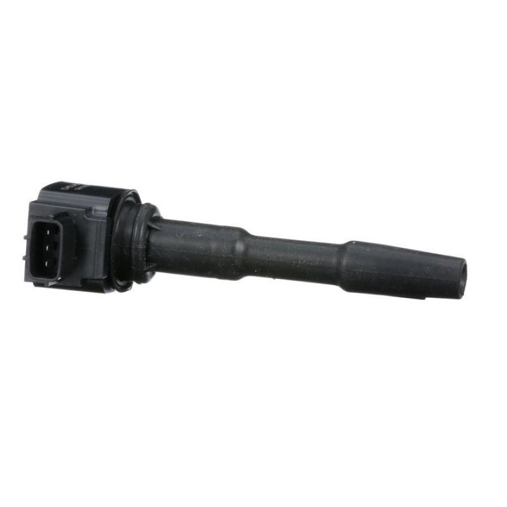 Ritė, uždegimas DELPHI GN10798-12B1