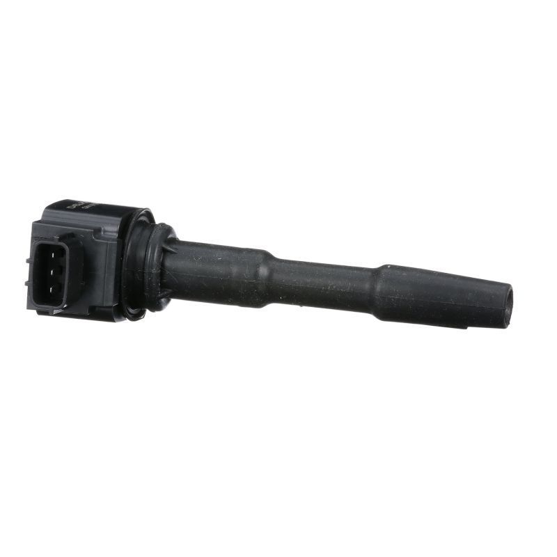 Ritė, uždegimas DELPHI GN10798-12B1