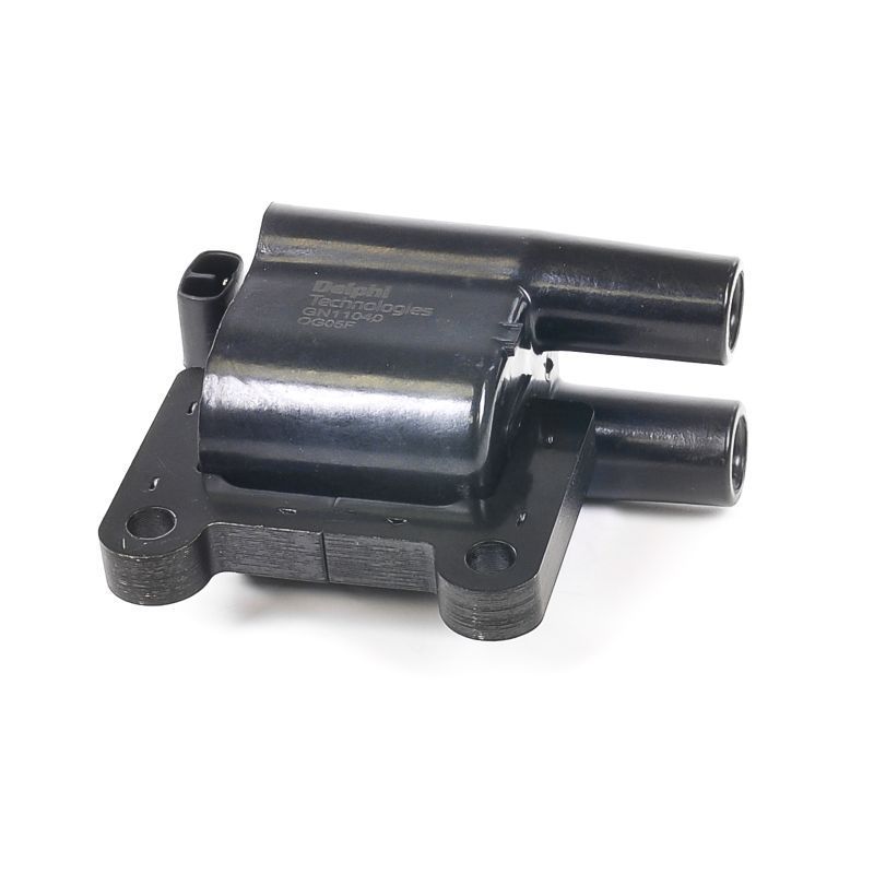 Ritė, uždegimas DELPHI GN11040-12B1