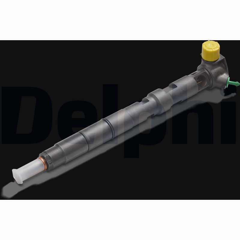 Purkštukas DELPHI R01101D-12B1