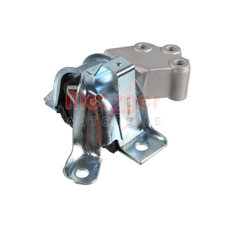 Variklio montavimas METZGER 8054318