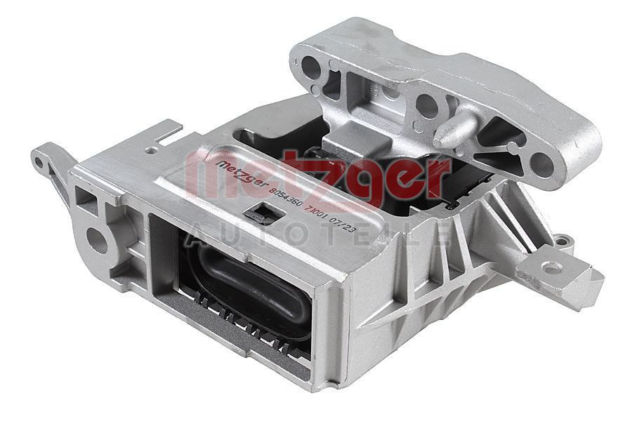 Variklio montavimas METZGER 8054360