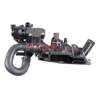 Termostatas, aušinimo skystis METZGER 4006491