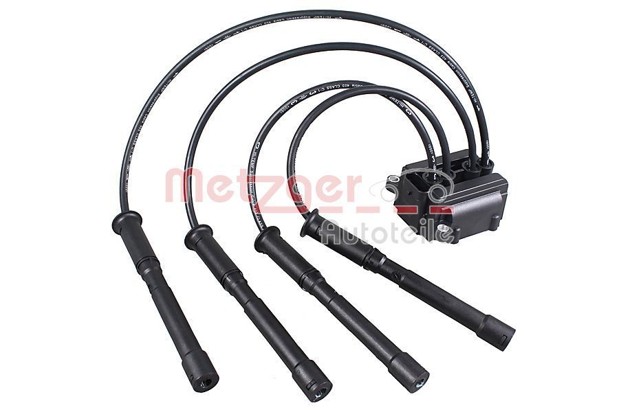 Ritė, uždegimas METZGER 0880558