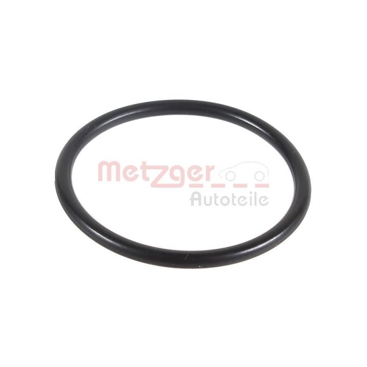 Tarpiklis, turbinos oro žarna METZGER 2430015