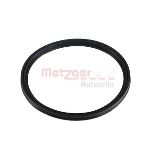 Tarpiklis, turbinos oro žarna METZGER 2430049