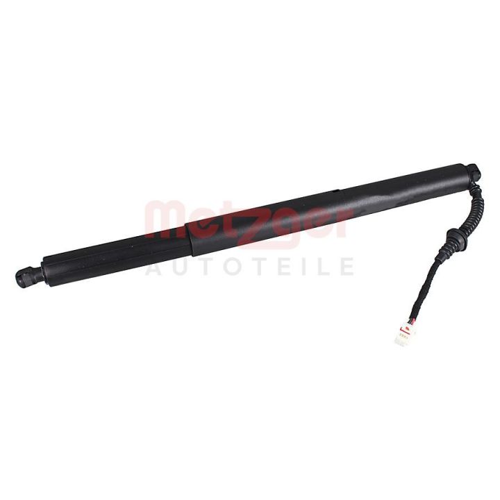 Galinių durų elektros variklis METZGER 2115056