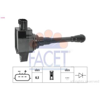 Ritė, uždegimas FACET 9.6543