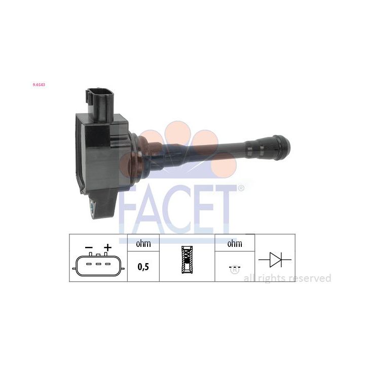 Ritė, uždegimas FACET 9.6543