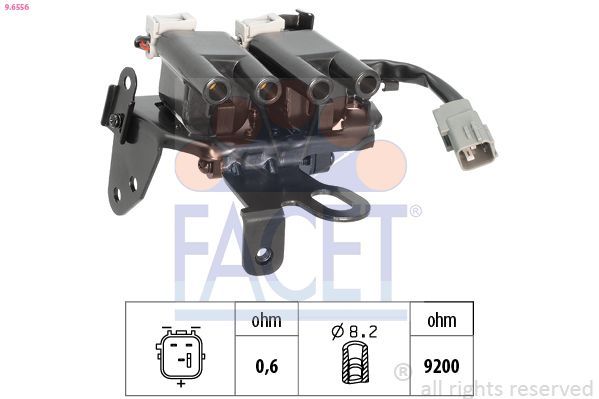 Ritė, uždegimas FACET 9.6556