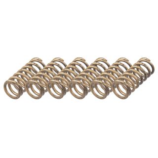 Sankabos spyruoklių rinkinys TRW MEF360-6