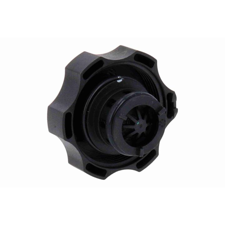 Dangtelis, radiatorius VAICO V40-1679