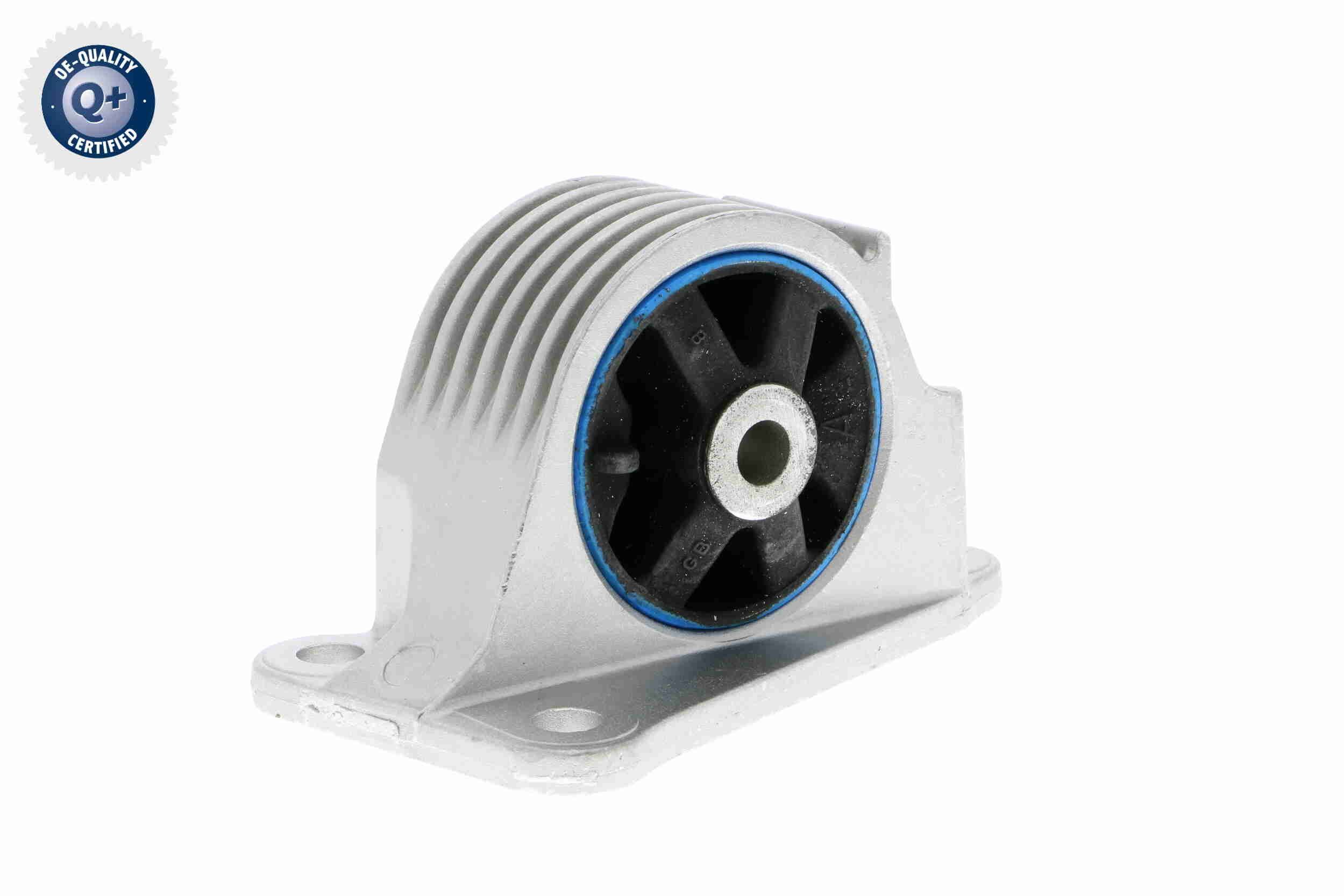 Variklio montavimas VAICO V20-2116