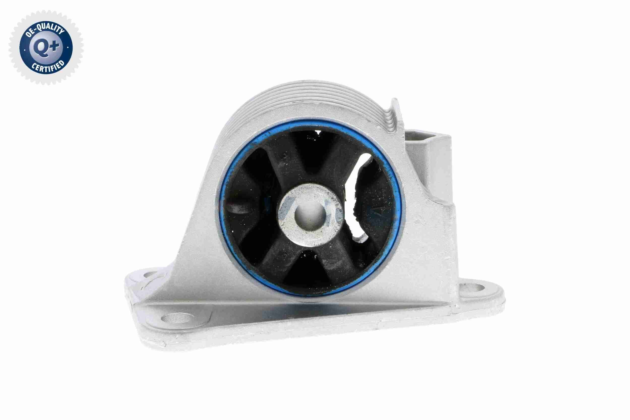 Variklio montavimas VAICO V20-2116