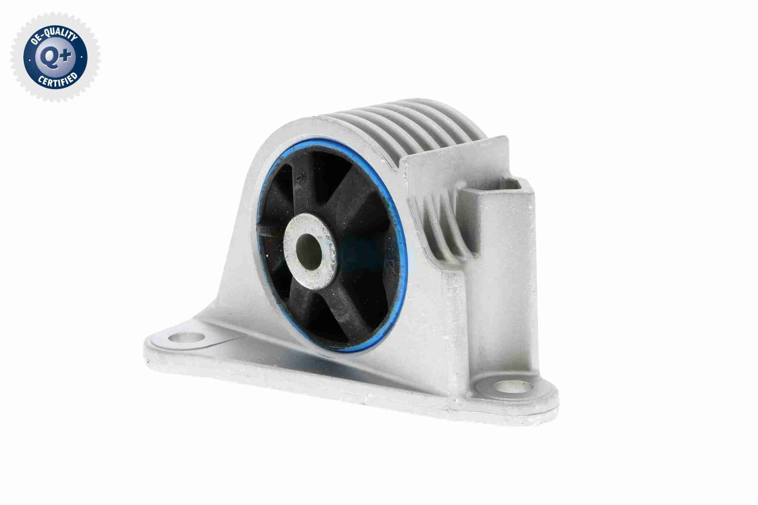 Variklio montavimas VAICO V20-2116