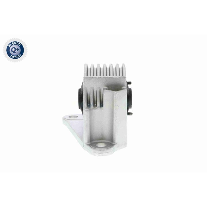 Variklio montavimas VAICO V20-2116