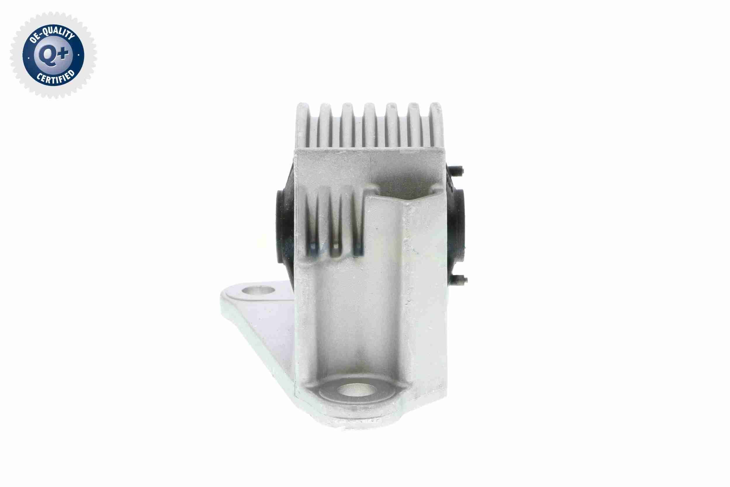 Variklio montavimas VAICO V20-2116