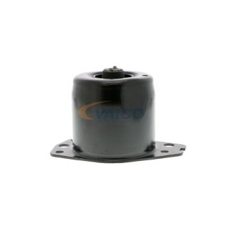 Variklio montavimas VAICO V24-0368