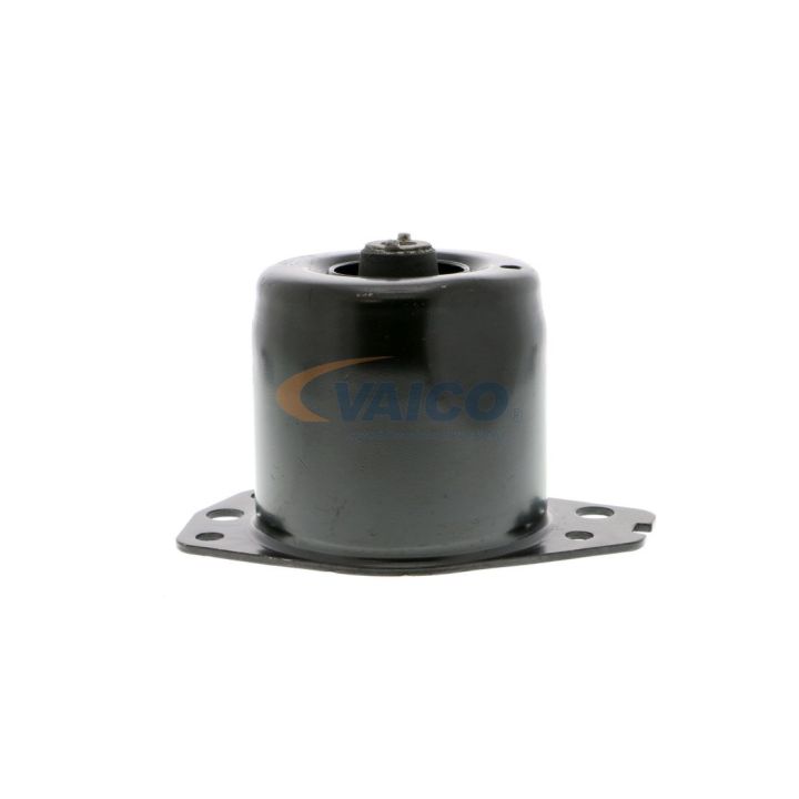 Variklio montavimas VAICO V24-0368