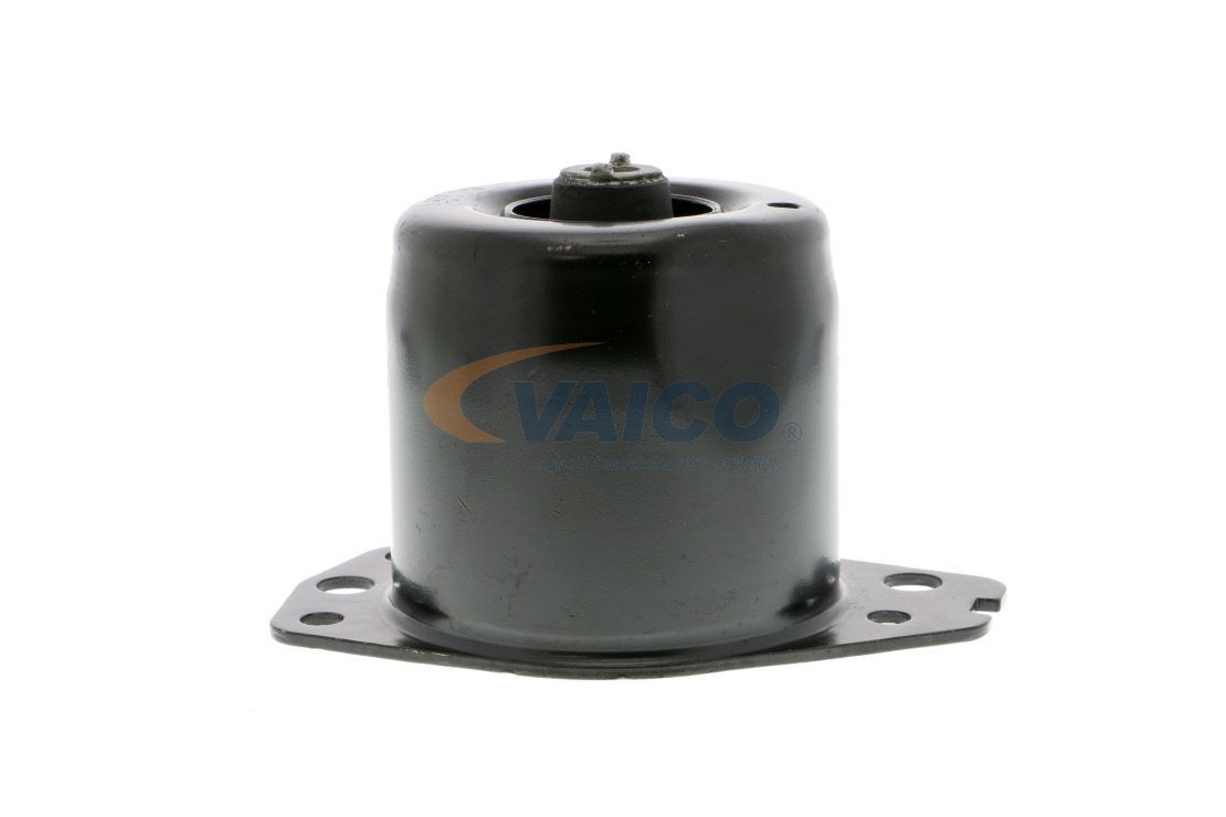 Variklio montavimas VAICO V24-0368