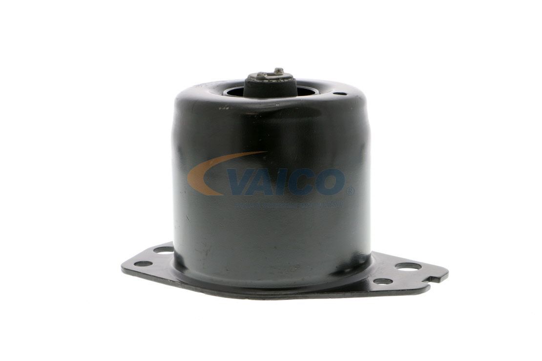 Variklio montavimas VAICO V24-0368