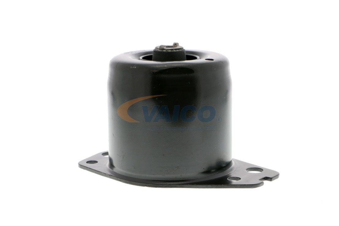 Variklio montavimas VAICO V24-0368