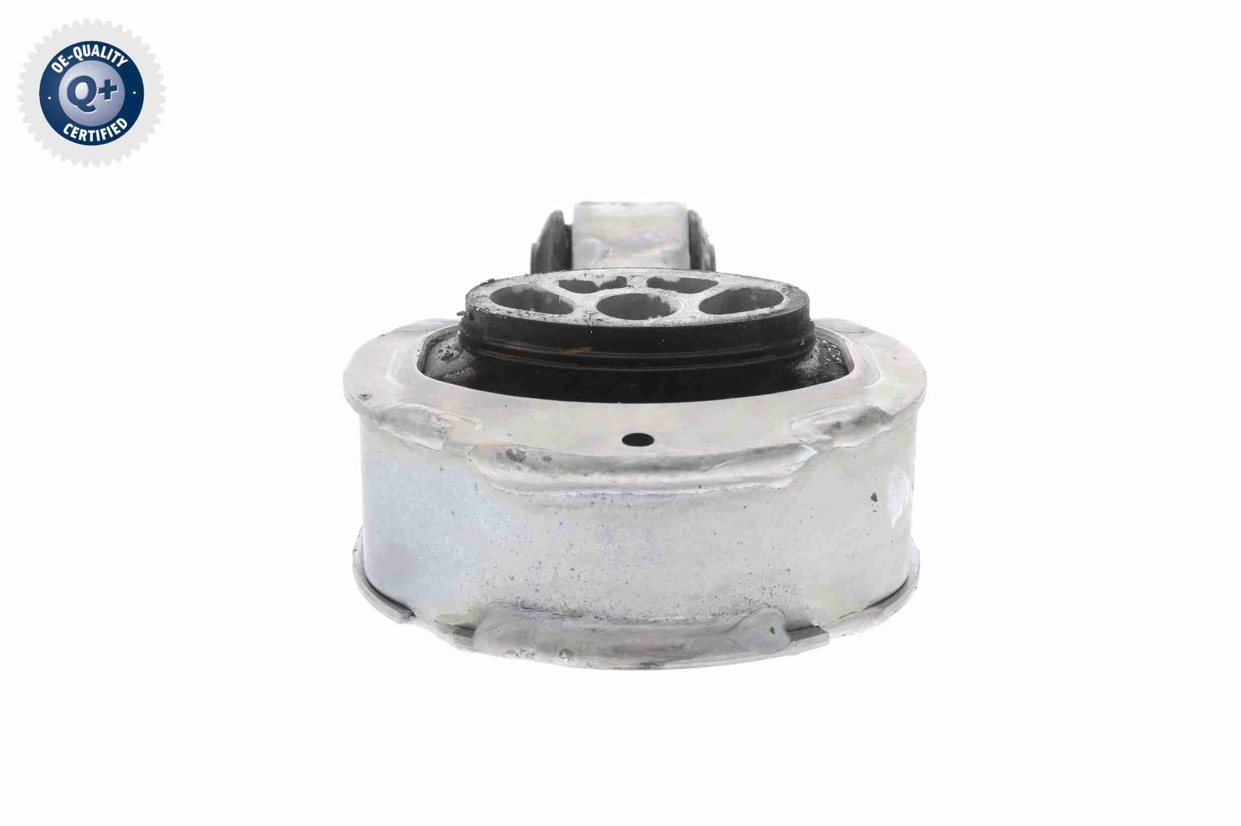 Variklio montavimas VAICO V46-0686