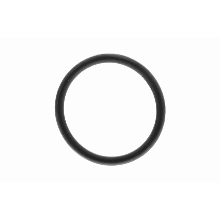 Termostatas, aušinimo skystis VAICO V22-0841