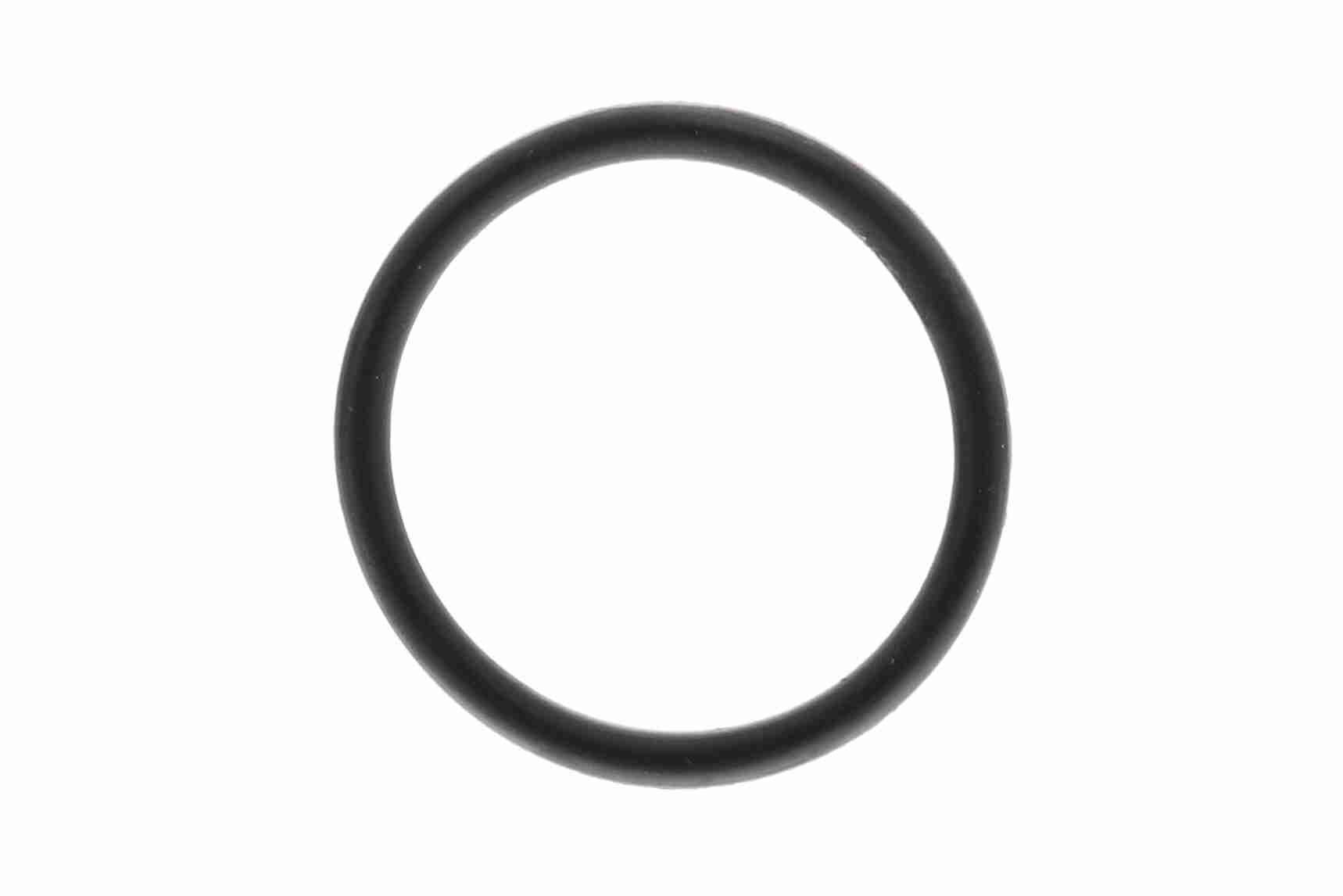 Termostatas, aušinimo skystis VAICO V22-0841