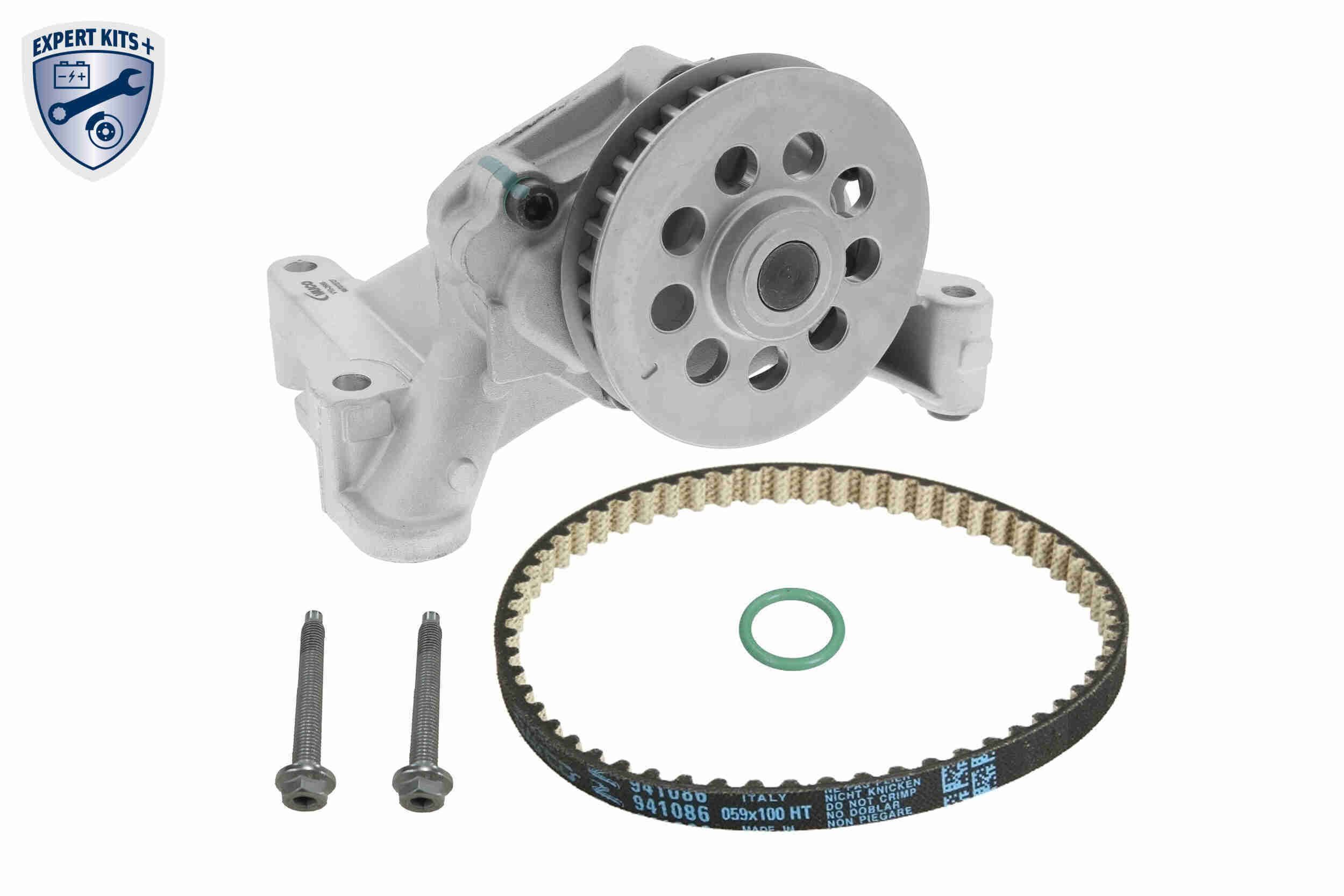 Alyvos siurblys VAICO V10-8967