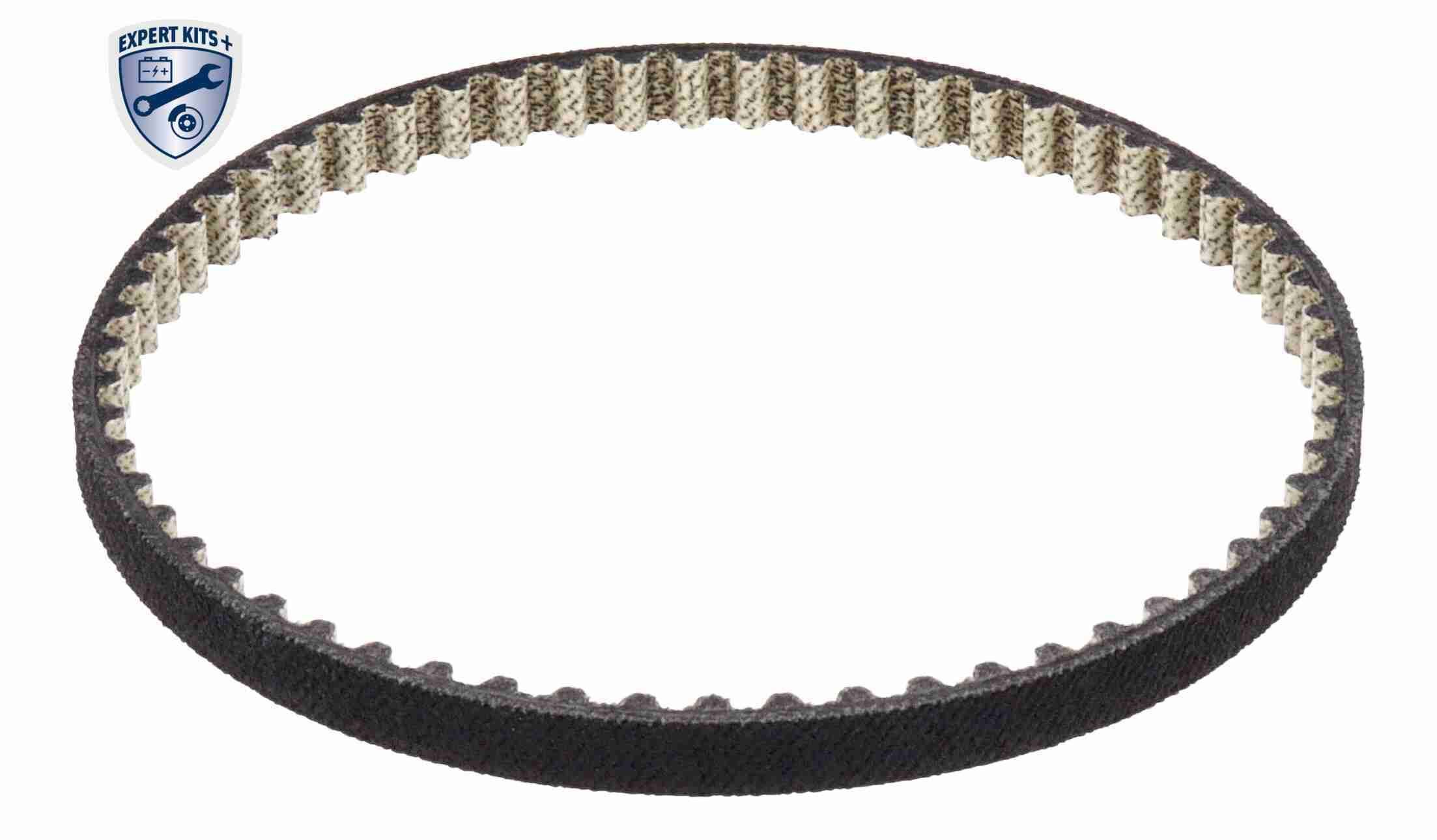 Alyvos siurblys VAICO V10-8967