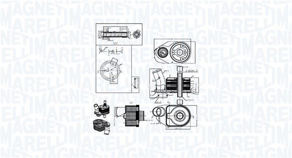 Alyvos aušintuvas, variklio alyva MAGNETI MARELLI 350300006600