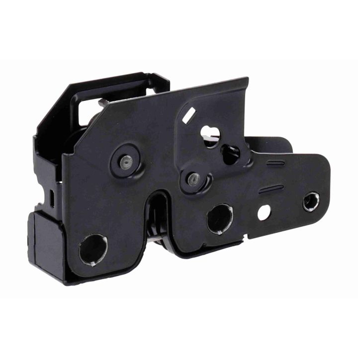 Gaubto užraktas VAICO V10-9069