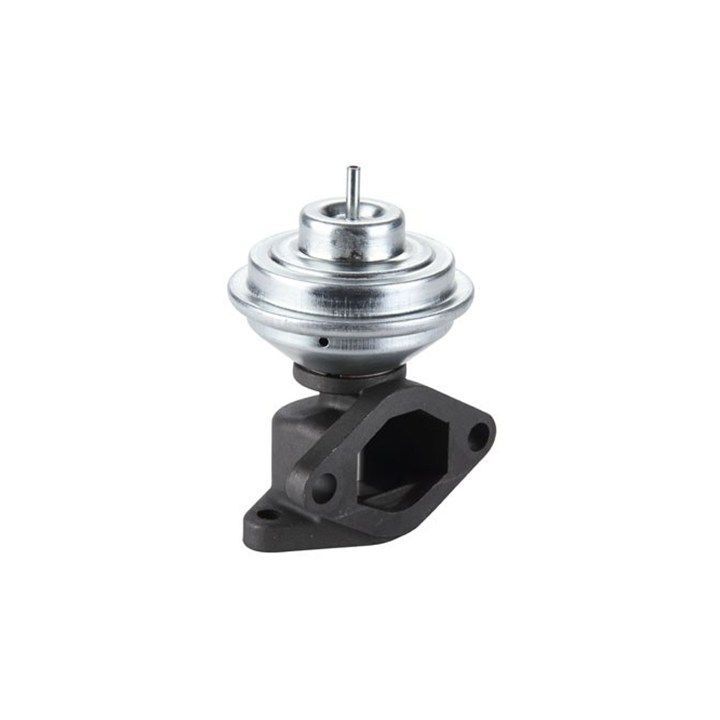 ERG vožtuvas MAGNETI MARELLI 571822112135